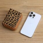 qq截图20260115172020