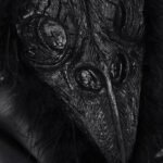 qq截图20260206112106