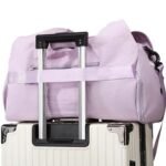 qq截图20260304140840