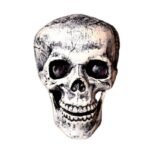 sku 004 skull 1pc